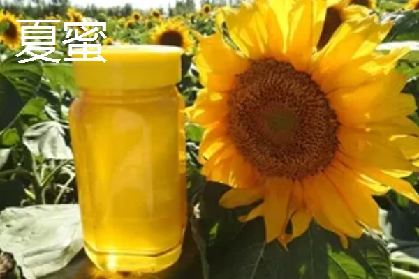 椴树蜜什么时间上市,每年的7月初至7月20日上市