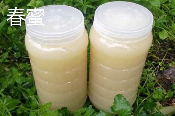 椴树蜜什么时间上市,每年的7月初至7月20日上市