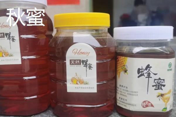 椴树蜜什么时间上市,每年的7月初至7月20日上市