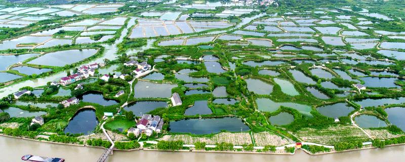 基塘农业布在我国什么地区，是珠江三角洲农业的特色