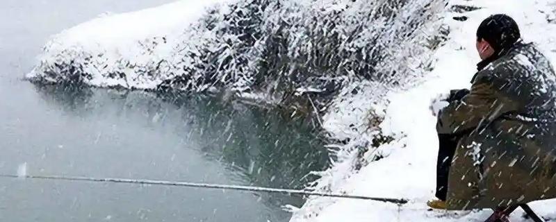 冬季钓鲢鳙可以吗，不容易开口