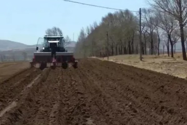 黄精用什么肥料，通常施用农家肥、土杂肥等