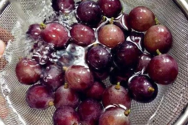 马陆葡萄品种简介,是上海市嘉定区的特产