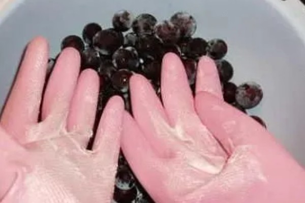 马陆葡萄品种简介,是上海市嘉定区的特产