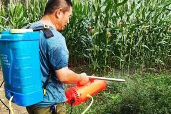 烟嘧莠去津有封地作用吗，可以封闭土壤