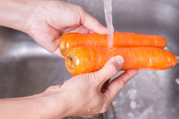 胡萝卜黑腐病的地区分布,我国山西、河北、内蒙古等地均可发生