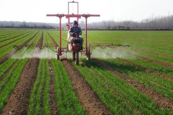 胡萝卜黑腐病的地区分布,我国山西、河北、内蒙古等地均可发生