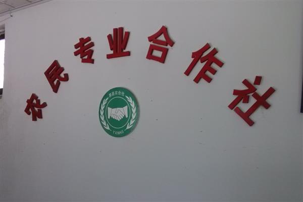 哪种农民专业合作社能够让农民拥有股份，主要有行业协会带动型、种养大户创办型等类型