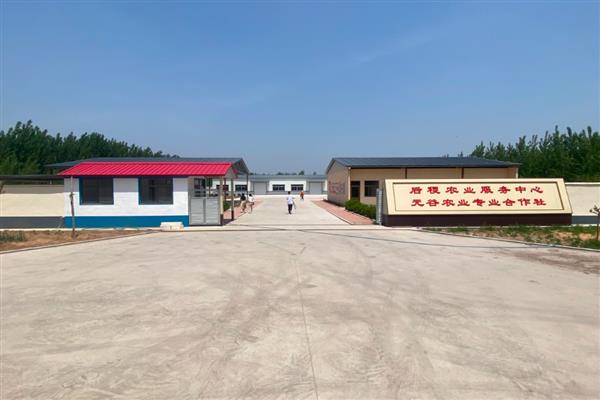 哪种农民专业合作社能够让农民拥有股份，主要有行业协会带动型、种养大户创办型等类型