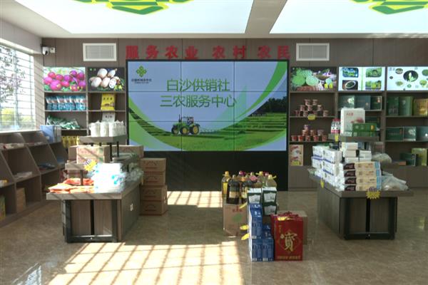 哪种农民专业合作社能够让农民拥有股份，主要有行业协会带动型、种养大户创办型等类型