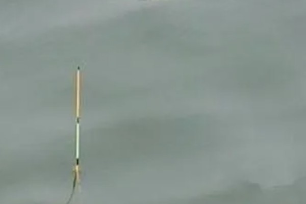 黑坑调几钓几顿口最为明显，没有准确的答案