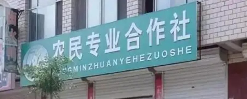 农村合作社的性质，具有独特的政治性质