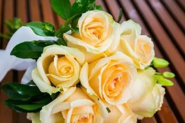 香槟色玫瑰花的寓意，寓意甜蜜幸福、我只喜欢你等