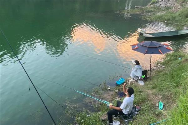 伊豆2号钩适合钓多大鱼，适合钓2两至3两的鱼