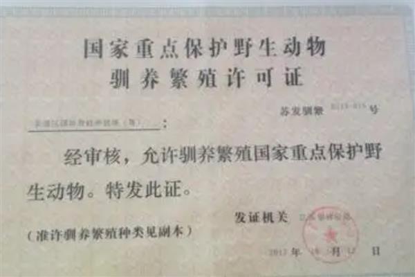 养殖青蛙需要办理哪些手续，要办理养殖证、营业执照等