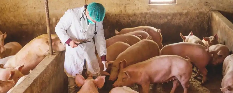 饲养员的工作范围，需学习饲养技术、参加培训、做好环境卫生等工作