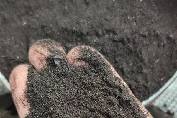 如何使用生物菌肥，拌种、灌根、冲施都是常用方法