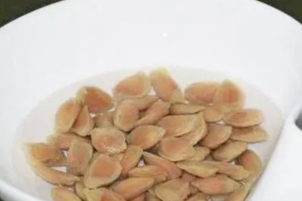 桃树苗如何培育，在春季或者夏末秋初进行