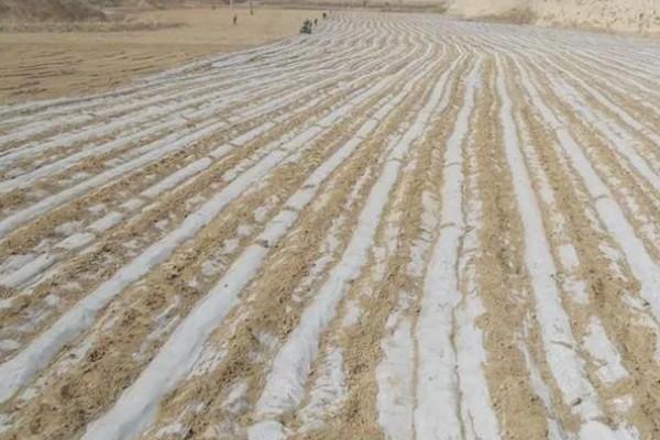 旧农膜的储存方法，可采用土存法、水存法等