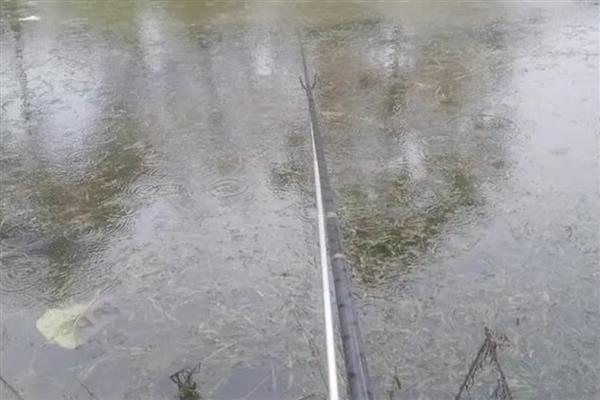 下雨是钓深还是钓浅，要根据季节来决定