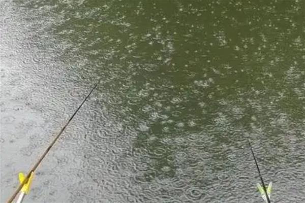 下雨是钓深还是钓浅，要根据季节来决定