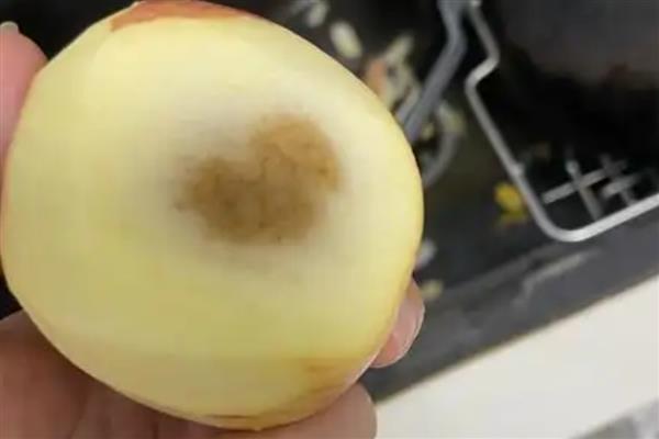 苹果里面发霉了还可以吃吗，发霉的苹果不能吃