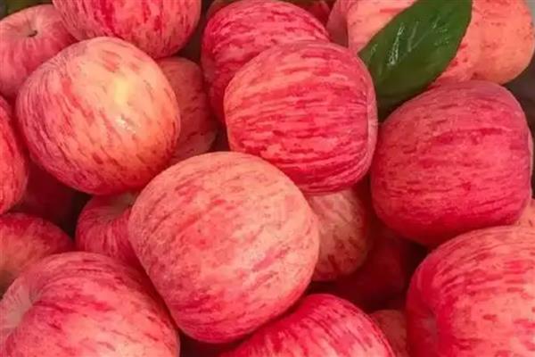 苹果里面发霉了还可以吃吗，发霉的苹果不能吃