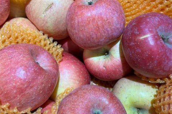 苹果里面发霉了还可以吃吗，发霉的苹果不能吃