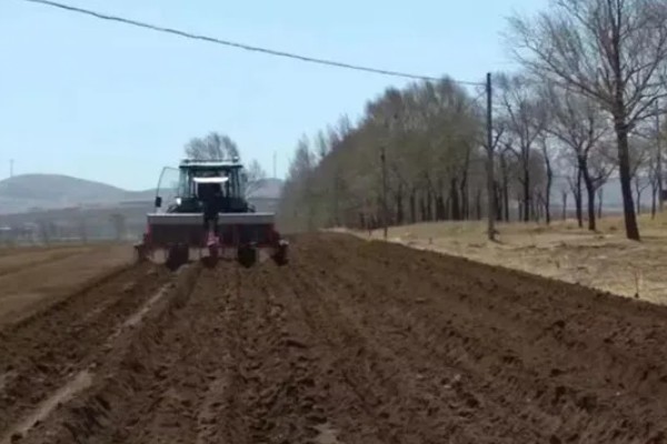 蓝莓的丰产栽培技术,可以选择氮磷钾复合肥施肥