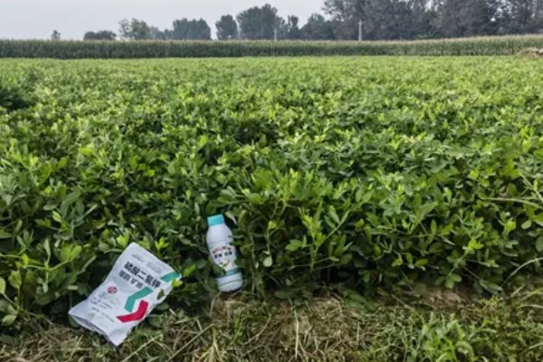 花生施肥方法，基肥用量应占施肥总量的80%-90%