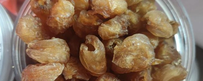 桂圆干的产地，产地有广西、广东、福建等