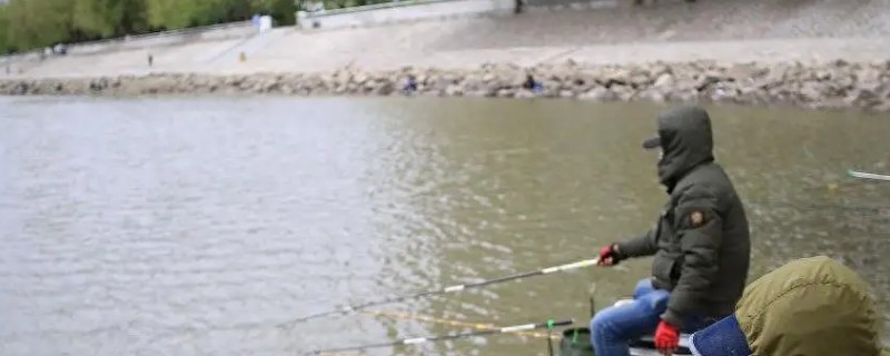 冬天钓鲢鳙用什么竿,最好用的鱼竿就是海竿