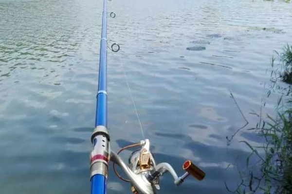 冬天钓鲢鳙用什么竿,最好用的鱼竿就是海竿