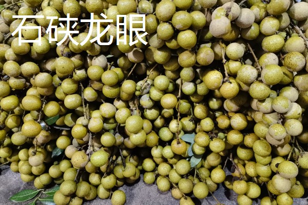 桂圆干的产地，产地有广西、广东、福建等