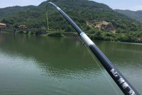 冬天钓鲢鳙用什么竿,最好用的鱼竿就是海竿