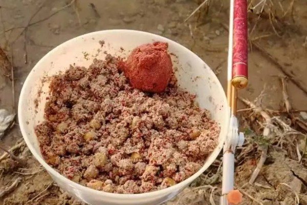 冬天钓鲢鳙用什么竿,最好用的鱼竿就是海竿