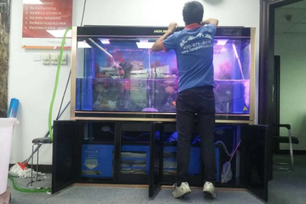 为什么锦鲤一直在水面上喝水，可能是得了烂鳃病或缺氧所致