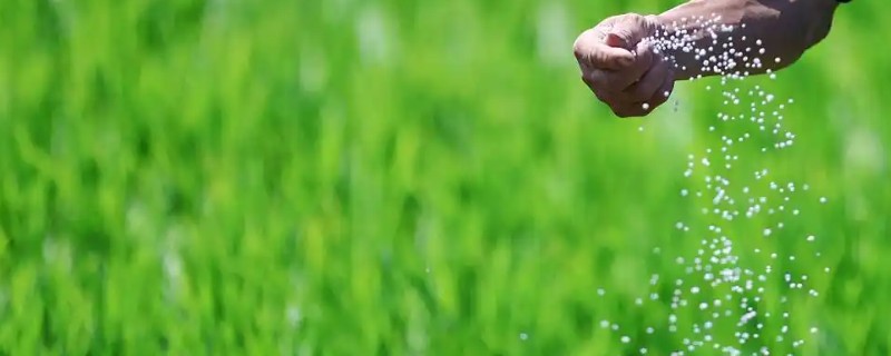 夏季秋季冬季干什么农活，秋季是收获的季节