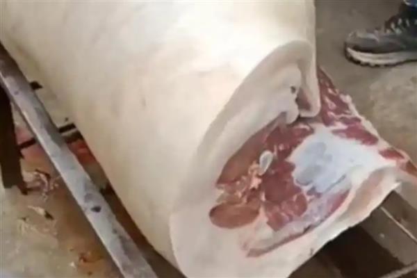 瘦肉猪跟肥肉猪的区别，外观和吃法均不同