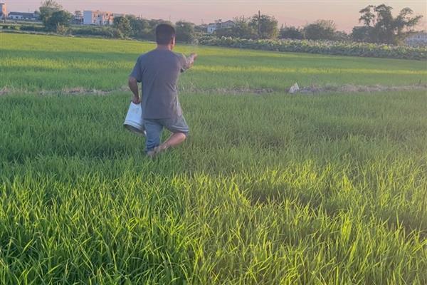 夏季秋季冬季干什么农活，秋季是收获的季节