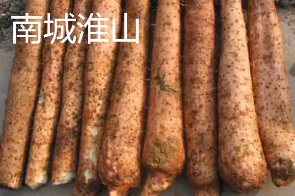 江西抚州市的特产，有南丰蜜桔、广昌白莲等
