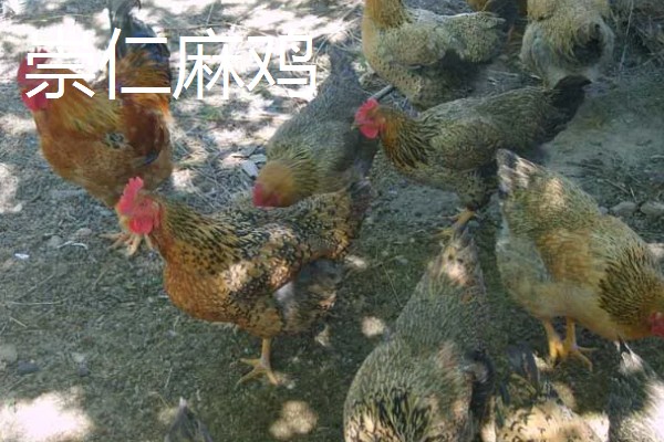 江西抚州市的特产，有南丰蜜桔、广昌白莲等