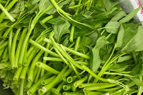 蔬菜的种类，分为芽苗类、叶菜类等