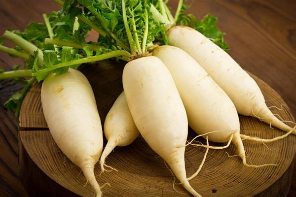 蔬菜的种类，分为芽苗类、叶菜类等