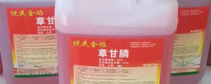 草甘膦如何使用效果好，要在杂草生长旺盛时用药