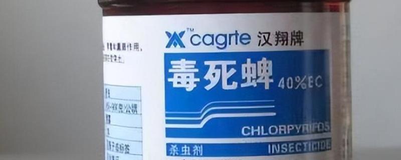 毒死蜱的相关知识，属中毒农药