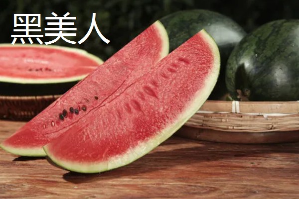 黑美人和麒麟西瓜的区别，甜度和口感均不同