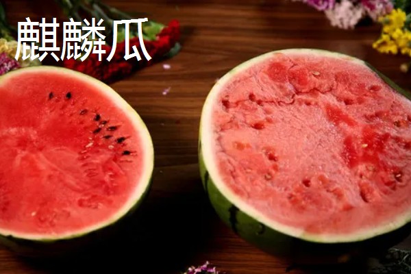黑美人和麒麟西瓜的区别，甜度和口感均不同