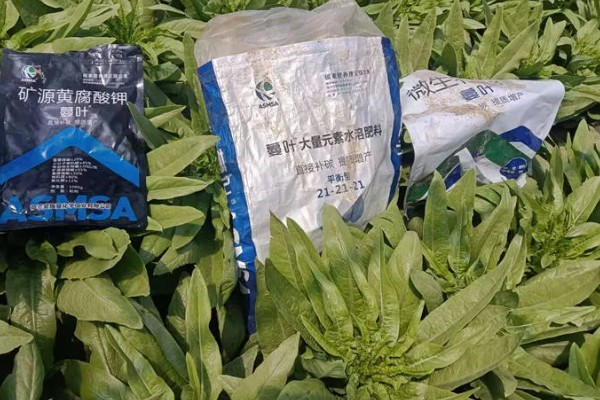 黄腐酸钾是什么，是一种钾元素肥料