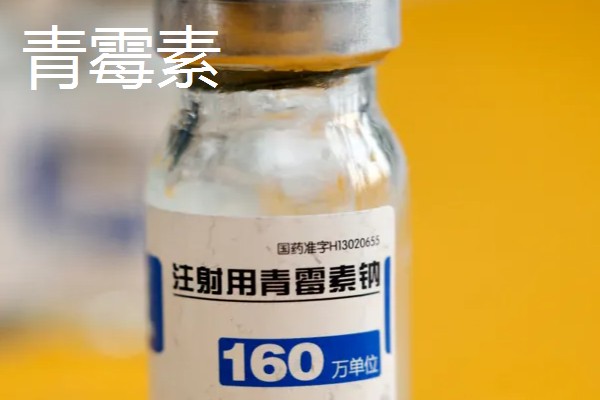 刚出生的小猪口服庆大霉素的作用，可以有效预防猪仔黄白痢